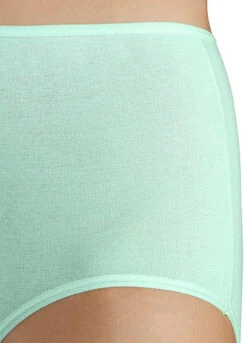 Petite Fleur Pack Of 5 High Waist Briefs -Lascana Outlet Shop Petite Fleur Pack of 5 High Waist Briefs391323FRSP W03