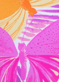 Sunseeker Butterfly Print Bikini Bottoms -Lascana Outlet Shop Sunseeker Butterfly Print Bikini Bottoms14417462FRSC W02